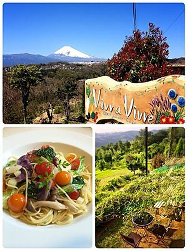 おしごと アルバイト 函南町 ビブラビブレ オープンガーデンカフェのフロアスタッフ Musubi Masu